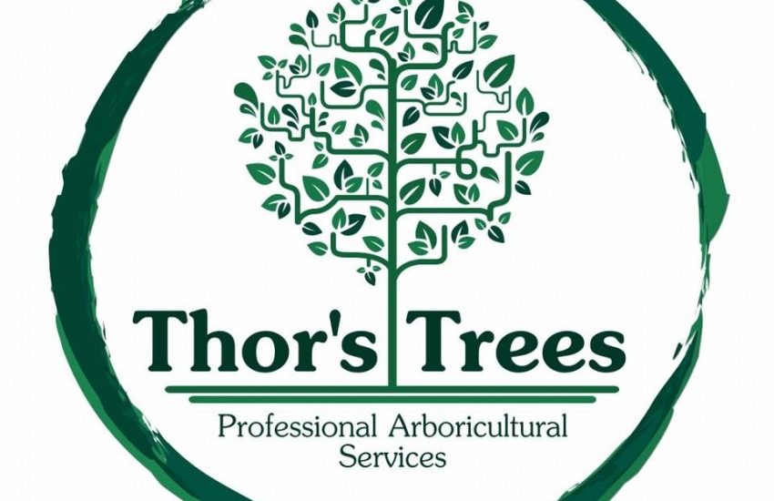 Job Vacancy: Part-time Placement
