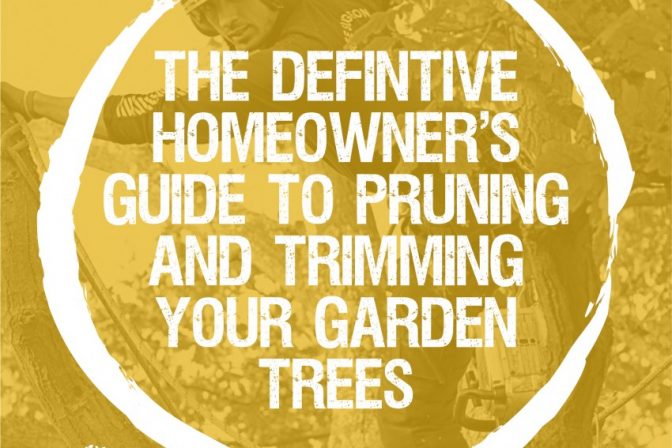 The Definitive Homeowner’s Guide