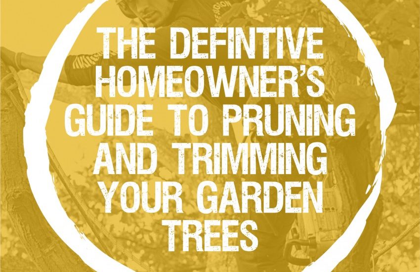 The Definitive Homeowner’s Guide