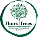(c) Thorstrees.co.uk
