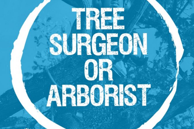 Do you need a surgeon, an arborist, or an arboriculturalist?