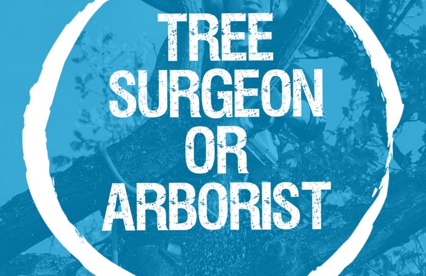 Do you need a surgeon, an arborist, or an arboriculturalist?