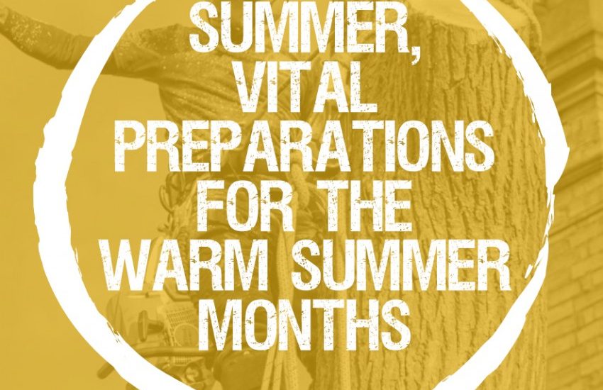 Top 5 tips for preparing your trees for the warm summer months