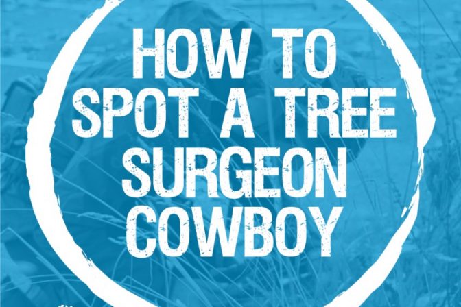 How to spot a cowboy and why it’s important to do so