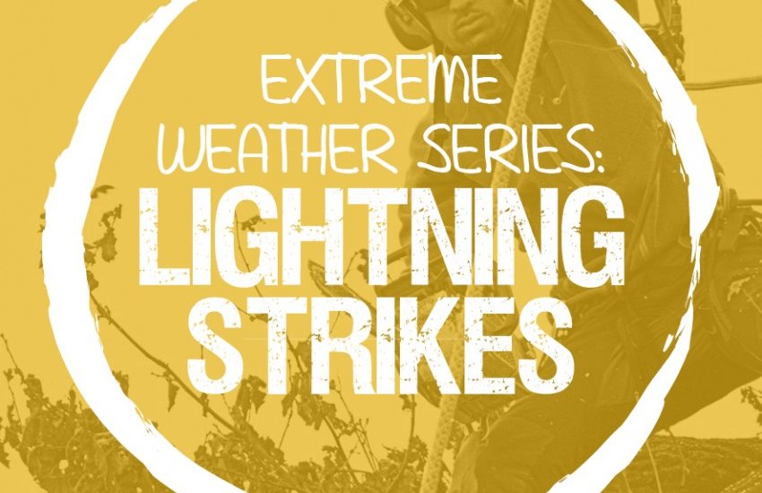 Extreme Weather Series: Lightning Strikes
