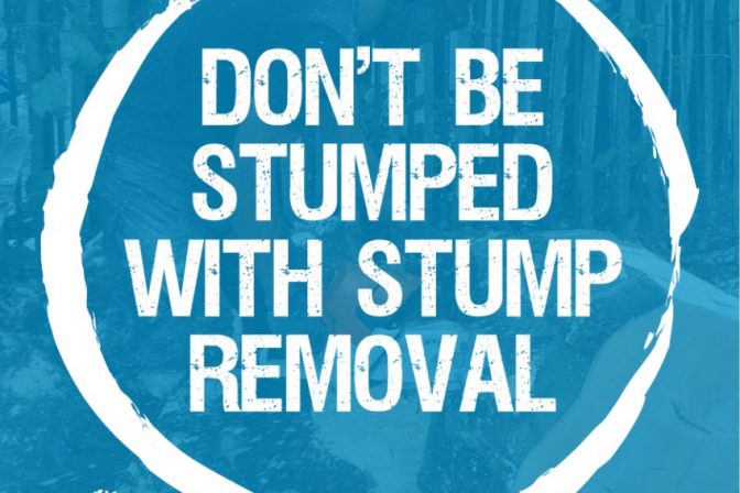 Don’t Be Stumped.  All you need to know about Stump removal.