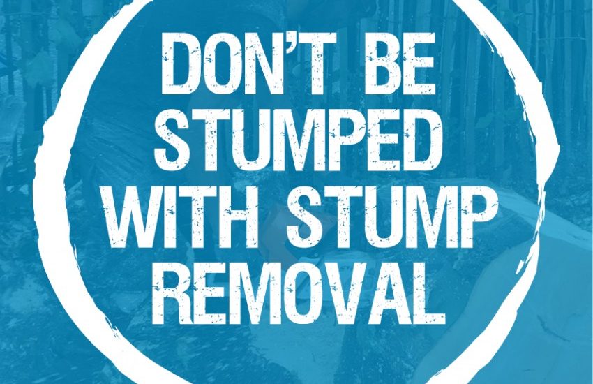 Don’t Be Stumped.  All you need to know about Stump removal.