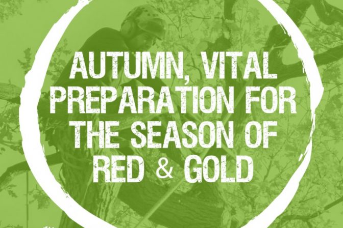 Autumn; Preparing for the season of red and gold with the 4 P’s