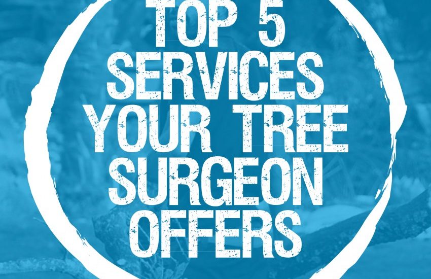 Top 5 services your arborist offers, and why they’re so important to your garden