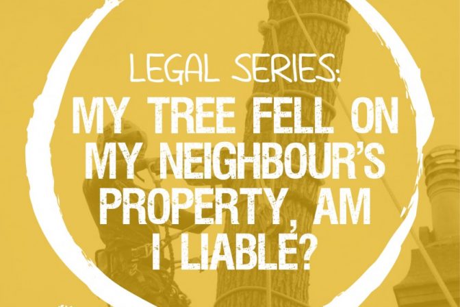 Legal Series: My tree fell on my neighbour’s property, am I liable?