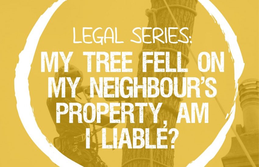 Legal Series: My tree fell on my neighbour’s property, am I liable?