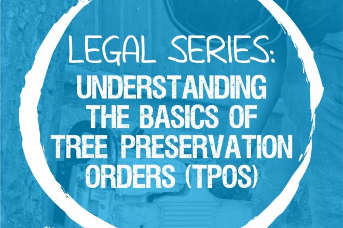 Legal Series: Understanding the Basics of TPO
