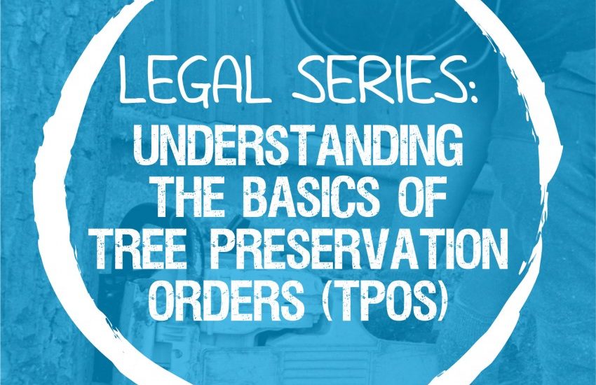 Legal Series: Understanding the Basics of TPO