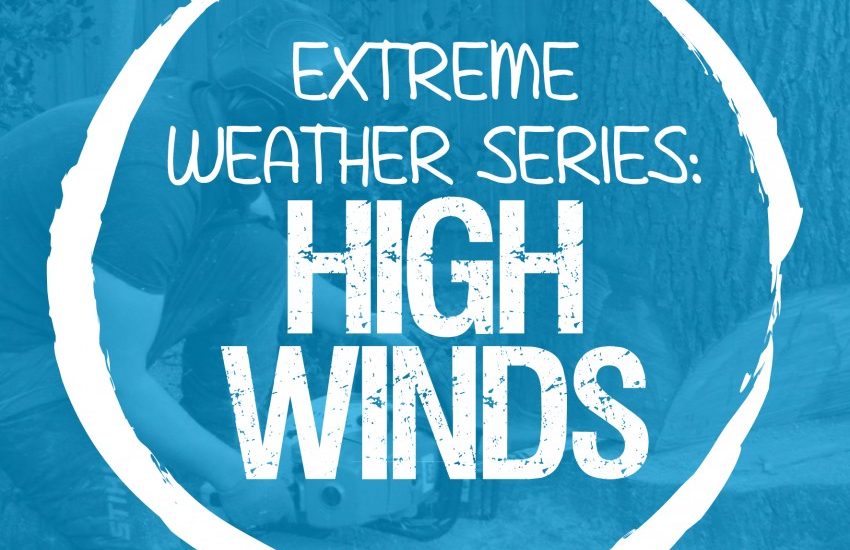 Extreme Weather Series: High Winds