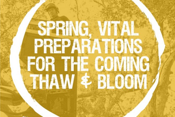 Are your plants ready for spring? Vital preparation for the thaw and bloom.
