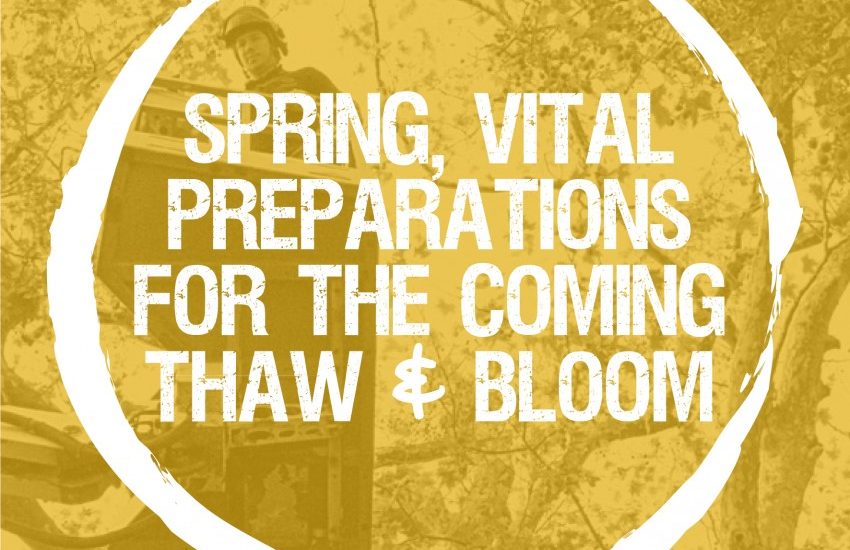 Are your plants ready for spring? Vital preparation for the thaw and bloom.