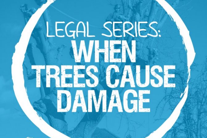 Legal Series: A brief overview of your rights and responsibilities