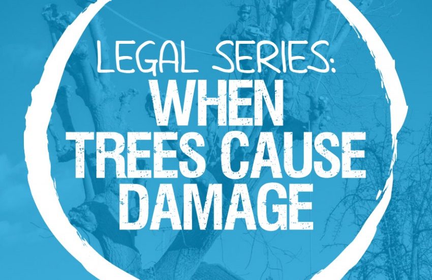 Legal Series: A brief overview of your rights and responsibilities