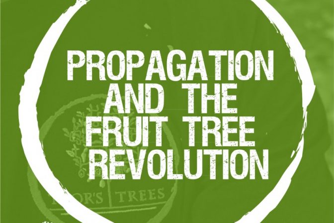 Propagation and the fruit revolution