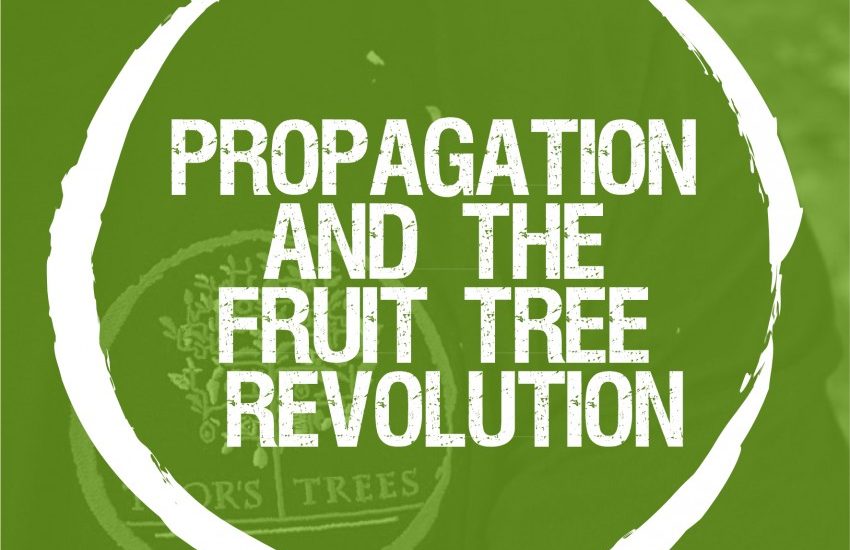 Propagation and the fruit revolution