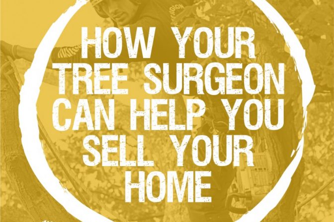 How your arborist can help you sell your home