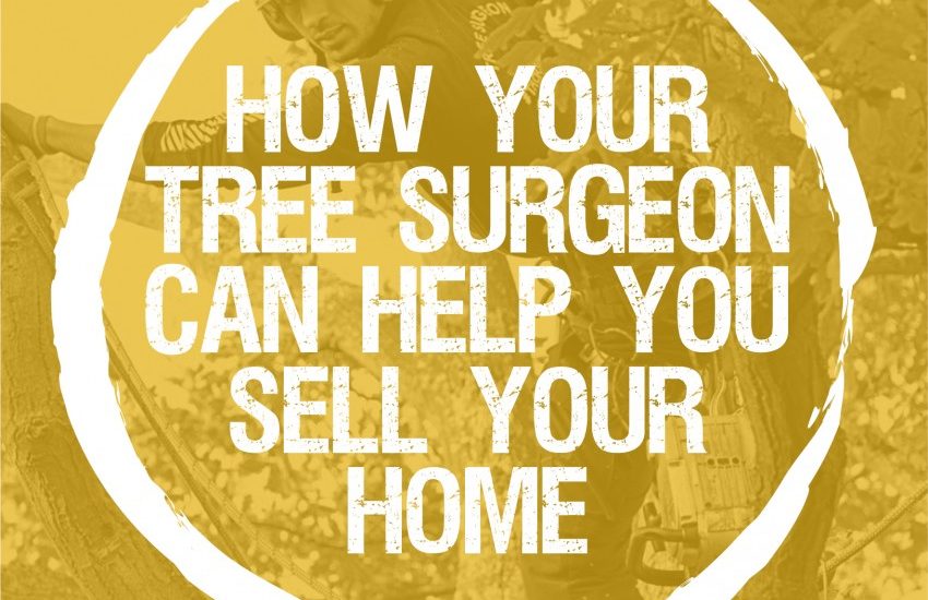 How your arborist can help you sell your home