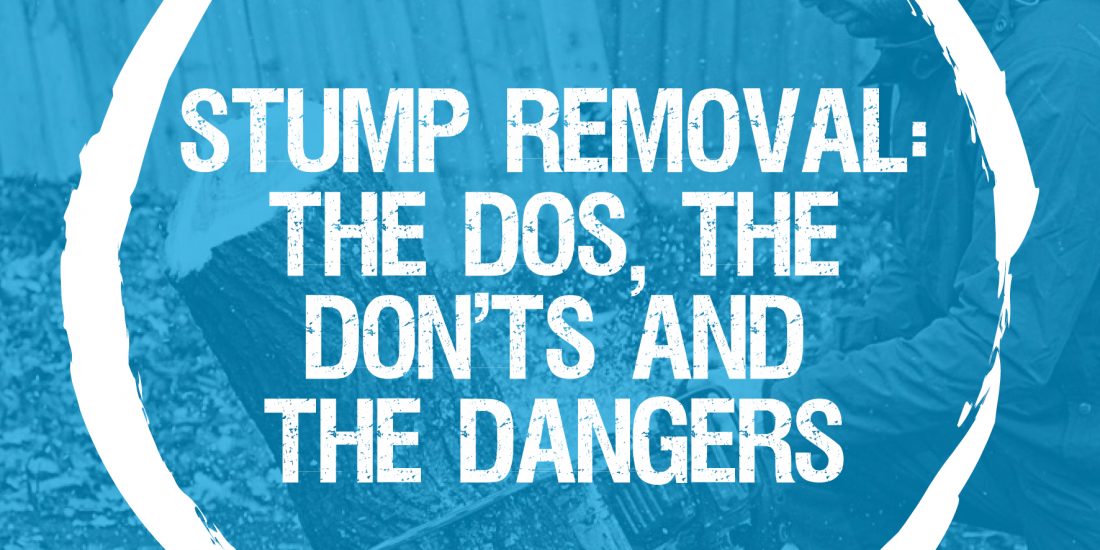 Stump removal: the do’s, the don’t’s and the dangers