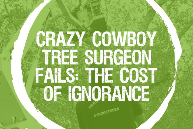 Crazy Cowboy Tree Surgeon fails: the cost of ignorance