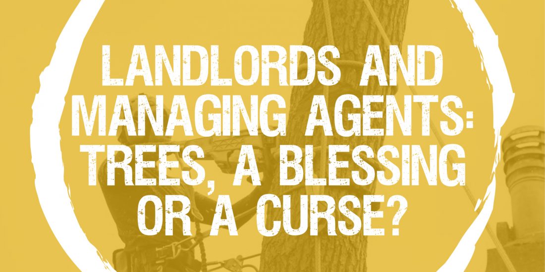 Landlords and managing agents: trees, a blessing or a curse?