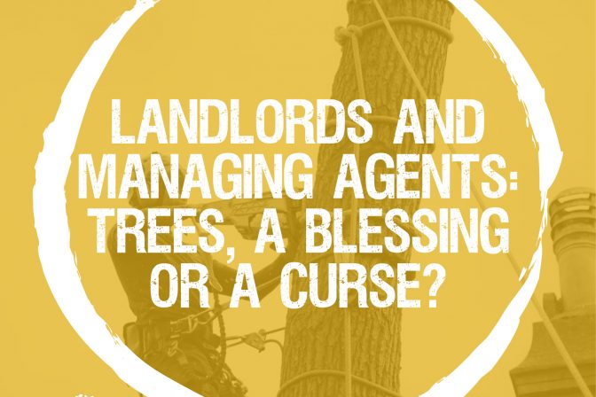Landlords and managing agents: trees, a blessing or a curse?