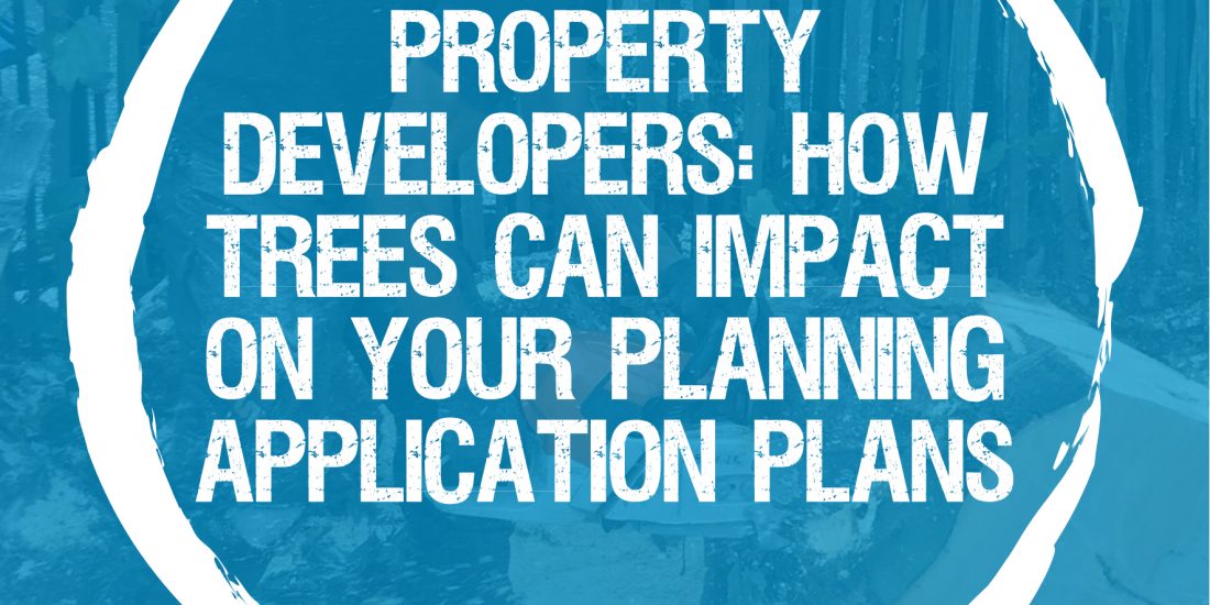 Property developers – How trees impact planning application plans
