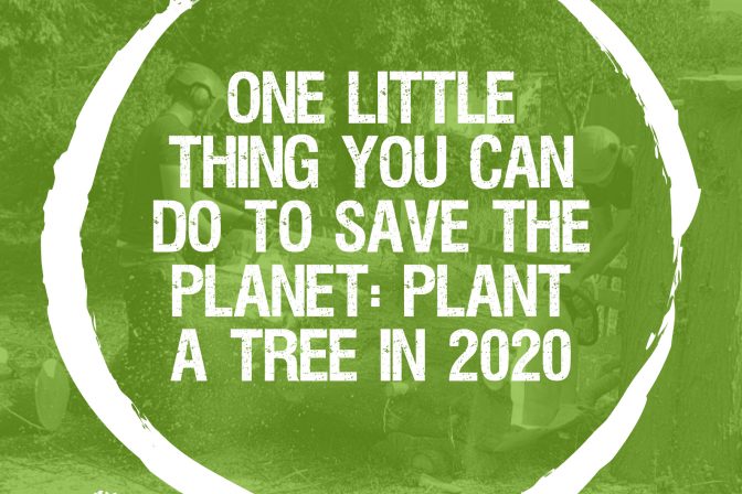 Plant a Tree this year