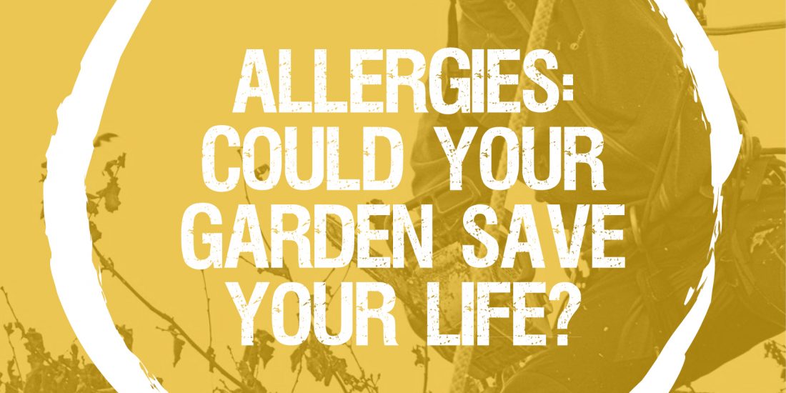 Allergies – could your garden save your life?