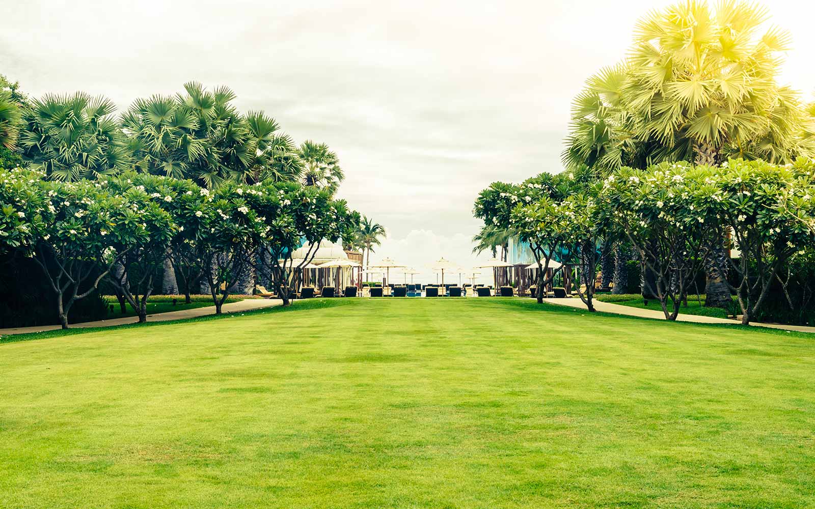 Tailored landscaping designs that reflect each client’s