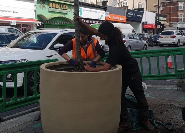 🌳 Planting Roots: How Thor’s Trees Thrives in Enfield’s Community